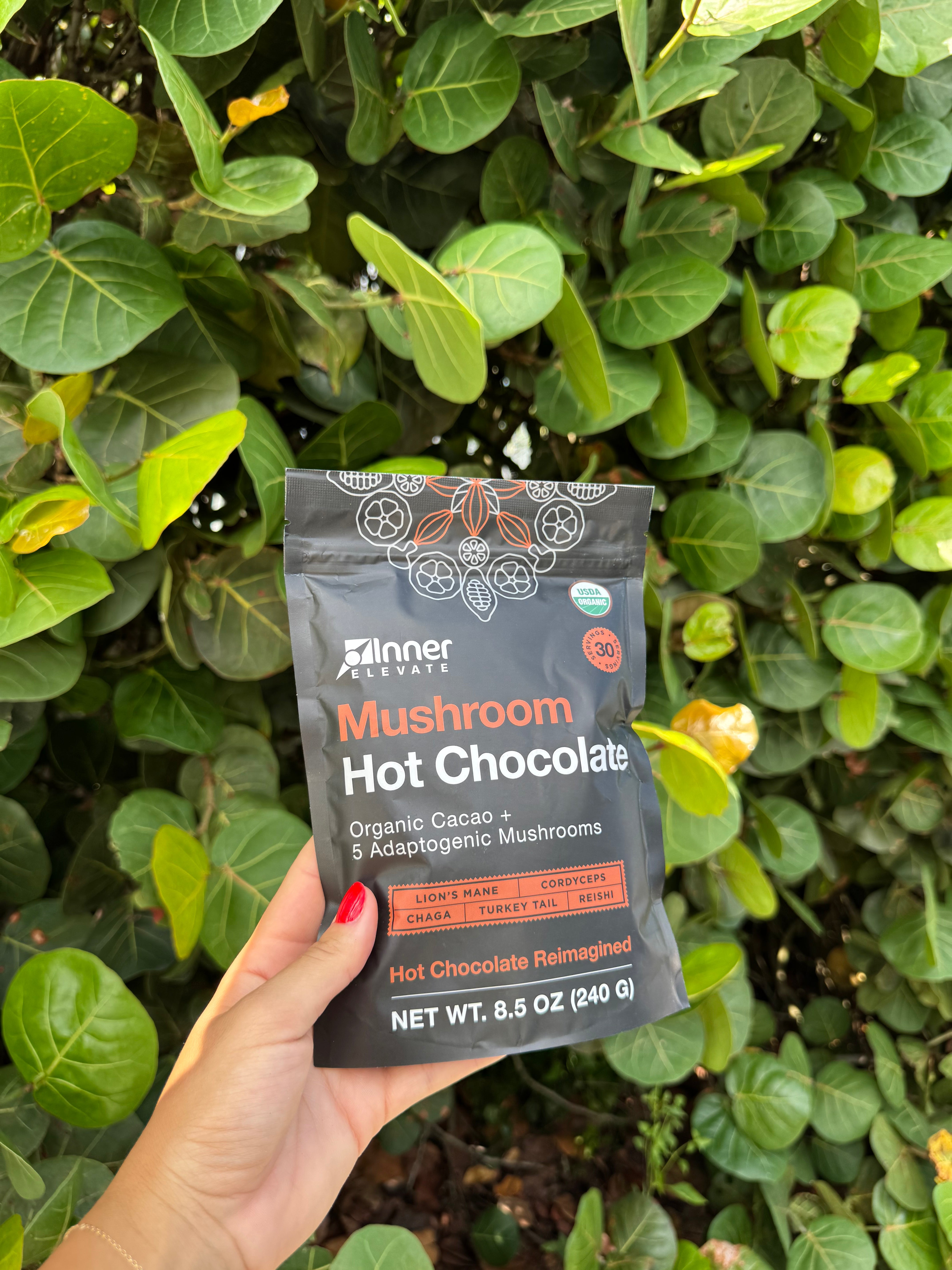 Mushroom Hot Chocolate: What's Actually In It, and How to Pick One That Works