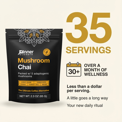Mushroom Chai | Spiced Wellness Blend
