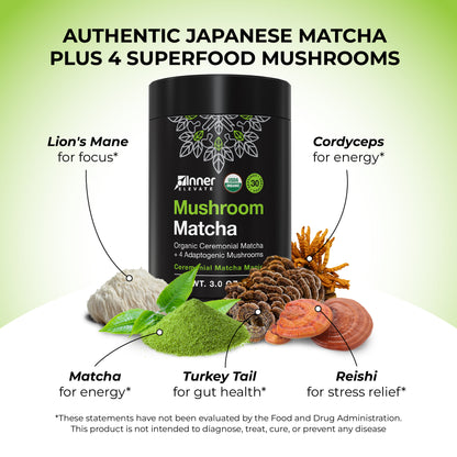 Inner Elevate Mushroom Matcha